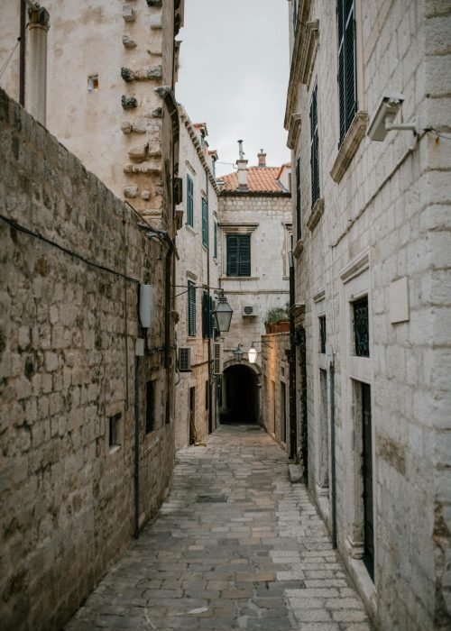 pexels-julia-volk-5273347 pexels-julia-volk-5273347